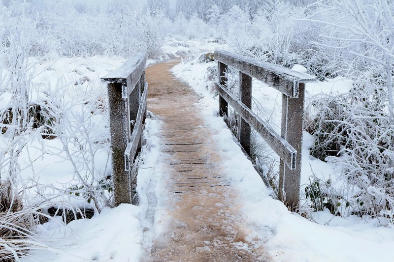 Mystic Pathways
